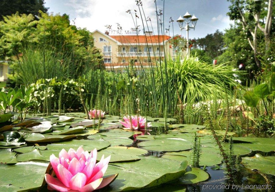 Villa Medici Hotel & Restaurant Veszprem Exterior photo